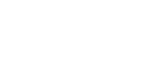 Artist Fysio logo